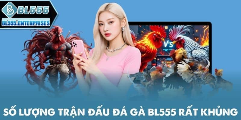 so-luong-tran-dau-da-ga-bl555-rat-khung